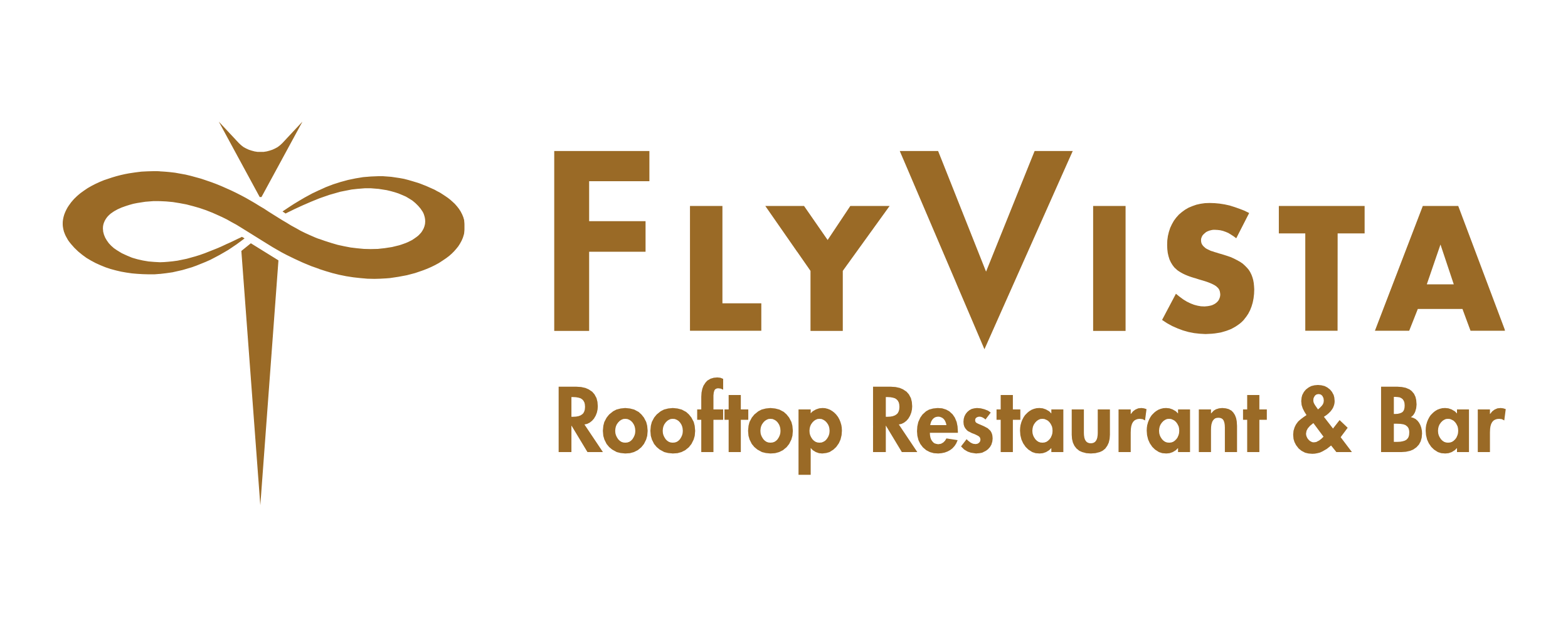 Fly Vista